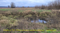 powiększ
