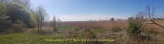 Licytacja: Działka rolna  o pow. 3,4100 ha  we wsi Urad gmina Cybinka