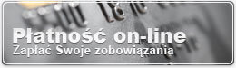 Płatność on-line